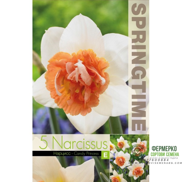 Нарцис Бонбонена принцеса  Narcissus Candy Princess - 5 бр луковици