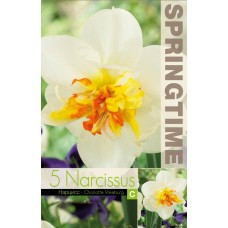 Нарцис Шарлот Врийбург Narcissus Charlotte Vreeburg - 5 бр луковици