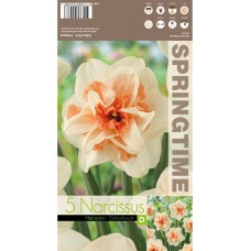 Нарцис Делнашоу Narcissus Delnashaugh - 5 бр луковици