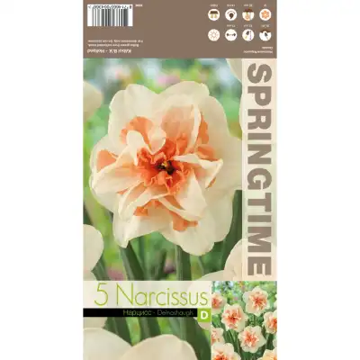Нарцис Делнашоу / Narcissus Delnashaugh - 5 бр луковици