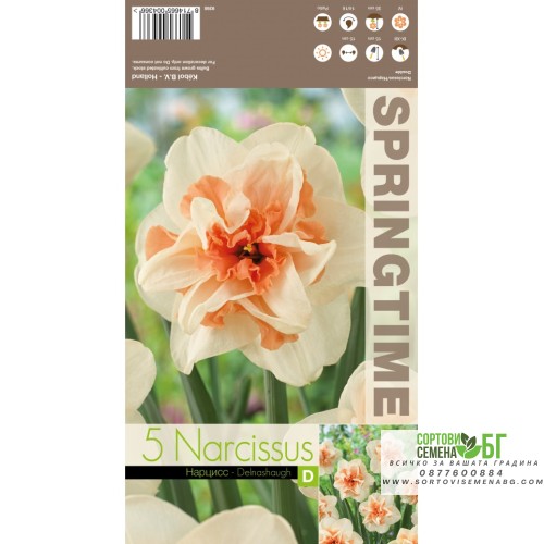 Нарцис Делнашоу / Narcissus Delnashaugh - 5 бр луковици