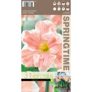 Нарцис Прасковен вихър / Narcissus Apricot Whirl - 3 бр луковици