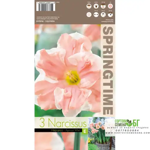 Нарцис Прасковен вихър / Narcissus Apricot Whirl - 3 бр луковици