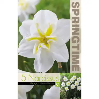 Нарцис Лимонена красота / Narcissus Lemon Beauty - 5 бр луковици