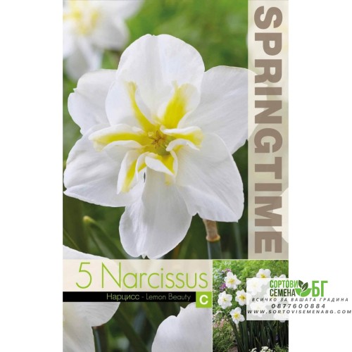 Нарцис Лимонена красота / Narcissus Lemon Beauty - 5 бр луковици