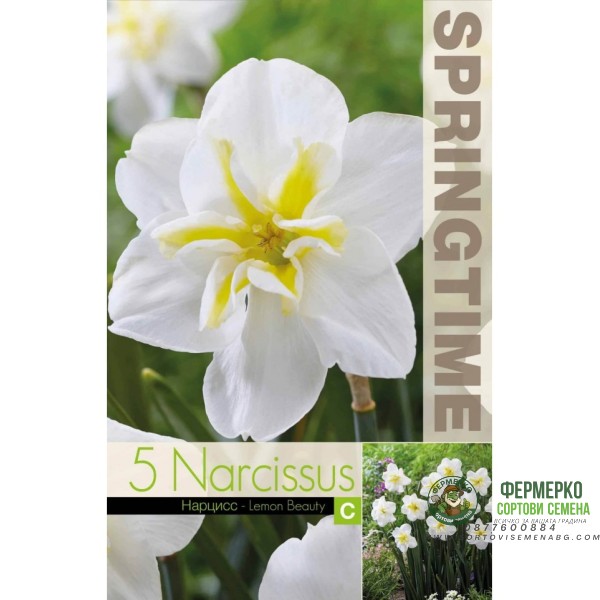Нарцис Лимонена красота Narcissus Lemon Beauty - 5 бр луковици