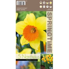 Нарцис Лавдей Narcissus Loveday - 5 бр луковици