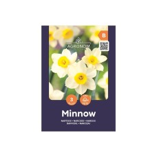 Нарцис Минноу Narcissus Minnow - AGRONOM - 3 бр луковици