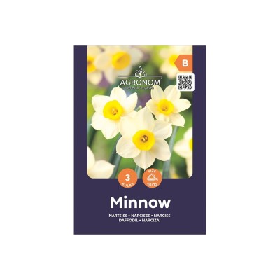 Нарцис Минноу / Narcissus Minnow - AGRONOM - 3 бр луковици
