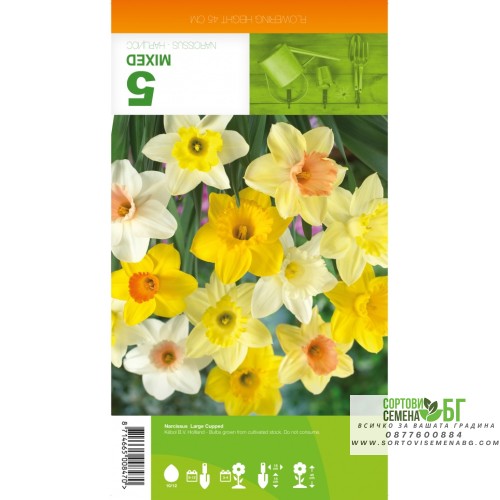 Нарцис Микс Голяма чашка / Narcissus Large Cupped - 5 бр луковици