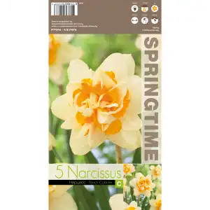 Нарцис Пийч Коблър / Narcissus Peach Cobbler - 5 бр луковици