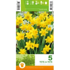 Нарцис Тет-а-Тет Narcissus Tete-a-Tete - 5 бр луковици