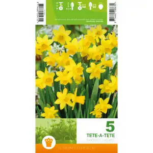 Нарцис Тет-а-Тет / Narcissus Tete-a-Tete - 5 бр луковици