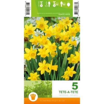 Нарцис Тет-а-Тет / Narcissus Tete-a-Tete - 5 бр луковици