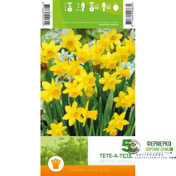 Нарцис Тет-а-Тет Narcissus Tete-a-Tete - 5 бр луковици