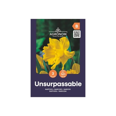 Нарцис Ненадминат / Narcissus Unsurpassable - AGRONOM - 3 бр луковици