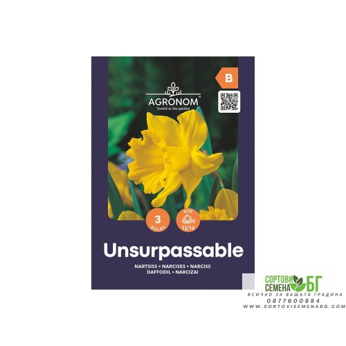 Нарцис Ненадминат / Narcissus Unsurpassable - AGRONOM - 3 бр луковици