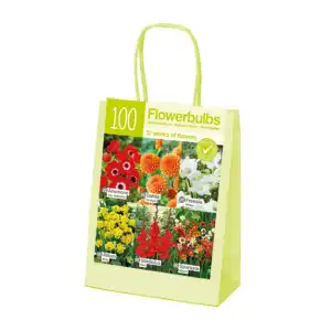 Чанта Оранжево-Червено-Бяло Микс XL / Orange-red-white - 100 бр луковици