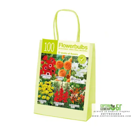 Чанта Оранжево-Червено-Бяло Микс XL / Orange-red-white - 100 бр луковици Чанта Оранжево-Червено-Бяло Микс XL / Orange-red-white - 100 бр луковици