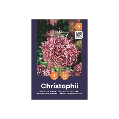 Декоративен чесън Христофи / Allium Christophii - AGRONOM - 2 бр луковици