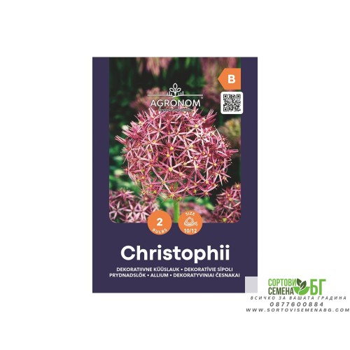 Декоративен чесън Христофи / Allium Christophii - AGRONOM - 2 бр луковици