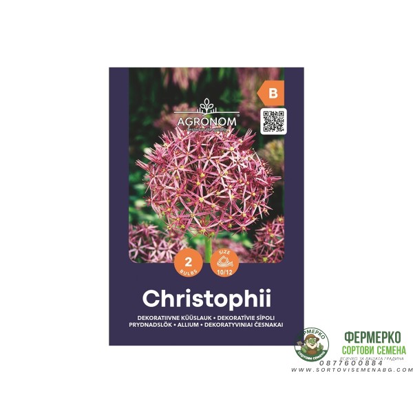 Декоративен лук Христофи Allium Christophii - AGRONOM - 2 бр луковици