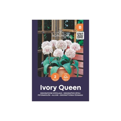 Декоративен чесън Кралица на слоновата кост / Allium Ivory Queen - AGRONOM - 2 бр луковици