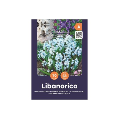 Пушкиния Либанотика / Puschkinia Libanotica - AGRONOM - 10 бр луковици