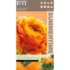 Лютиче Оранжево Ranunculus Orange - 10 бр луковици