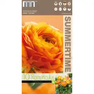 Лютиче Оранжево / Ranunculus Orange - 10 бр луковици