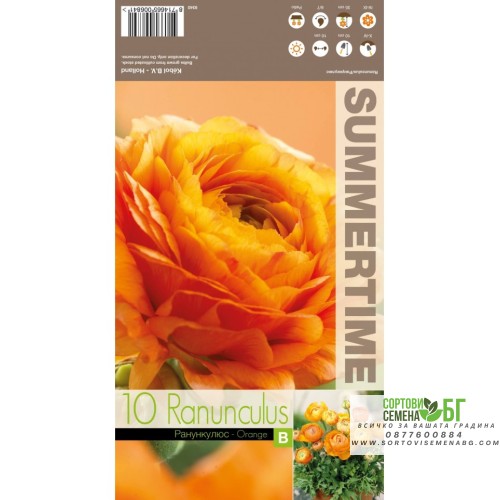 Лютиче Оранжево / Ranunculus Orange - 10 бр луковици
