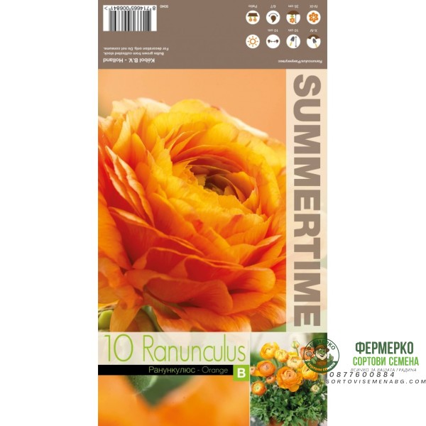 Лютиче Оранжево Ranunculus Orange - 10 бр луковици