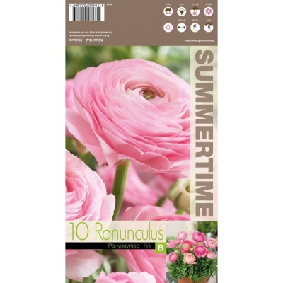 Лютиче Розово / Ranunculus Pink - 10 бр луковици