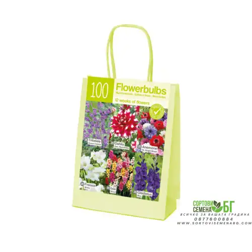 Чанта Червено-Бяло-Синьо Микс XL / Red-white-blue - 100 бр луковици Чанта Червено-Бяло-Синьо Микс XL / Red-white-blue - 100 бр луковици