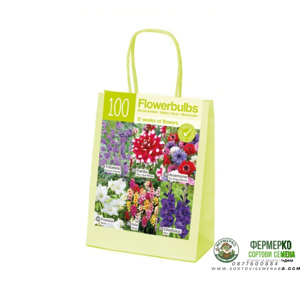 Чанта Червено-Бяло-Синьо Микс XL Red-white-blue - 100 бр луковици