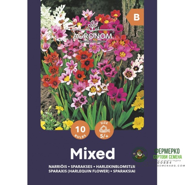 Спараксис Микс Sparaxis Mixed - 10 бр луковици