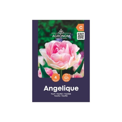 Лале Анжелик / Tulip Angelique - AGRONOM - 4 бр луковици