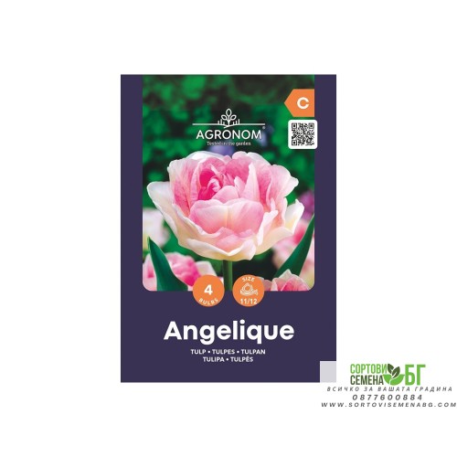 Лале Анжелик / Tulip Angelique - AGRONOM - 4 бр луковици