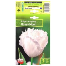 Лале Меден месец Tulipа Honey Moon - 5 бр луковици