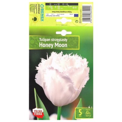 Лале Меден месец / Tulipа Honey Moon - 5 бр луковици