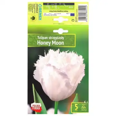 Лале Меден месец / Tulipа Honey Moon - 5 бр луковици