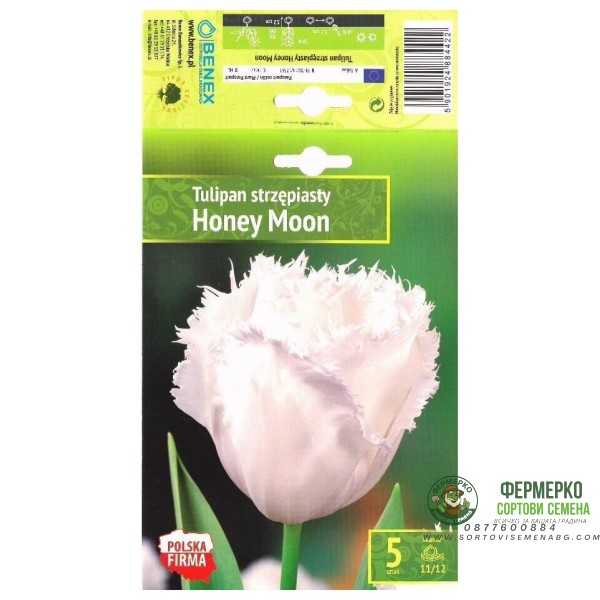 Лале Меден месец Tulipа Honey Moon - 5 бр луковици