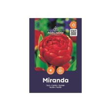 Лале Миранда Tulip Miranda - AGRONOM - 4 бр луковици