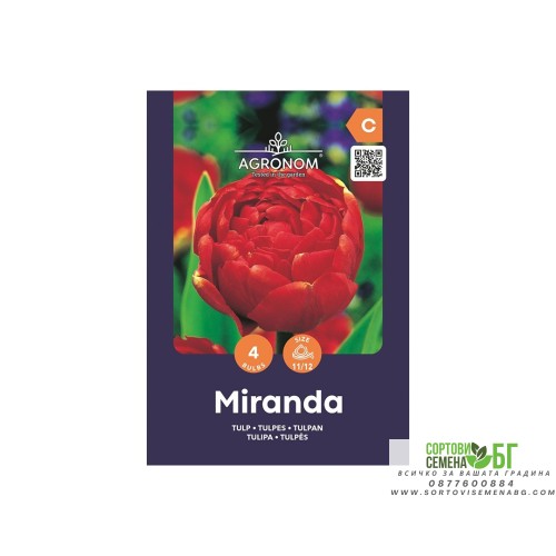 Лале Миранда / Tulip Miranda - AGRONOM - 4 бр луковици