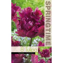 Лале Негрита Tulip Negrita Parrot - 8 бр луковици