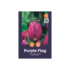 Лале Лилав Флаг Tulip Purple Flag - AGRONOM - 4 бр луковици