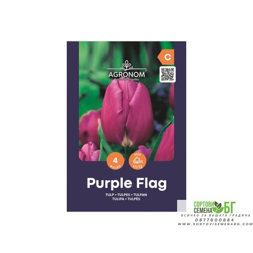 Лале Лилав Флаг / Tulip Purple Flag - AGRONOM - 4 бр луковици