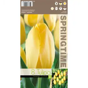 Лале Голяма усмивка / Tulipa Big Smile - 8 бр луковици