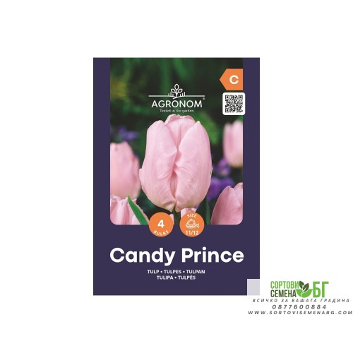 Лале Бонбонен принц / Tulipa Candy Prince - AGRONOM - 4 бр луковици