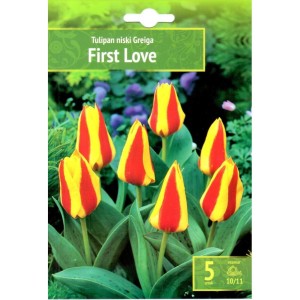 Лале Първа любов / Tulipa First Love - 5 бр луковици